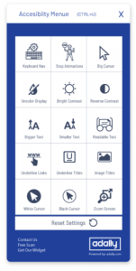 Adally Review - Accessibility Menu